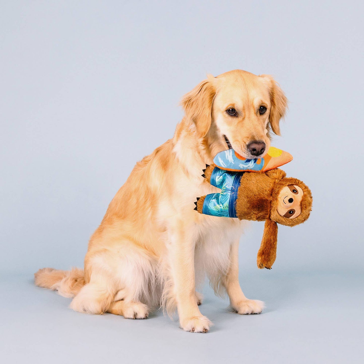 Jouet pour chien Paresseux Surfeur – Petshop by Fringe Studio