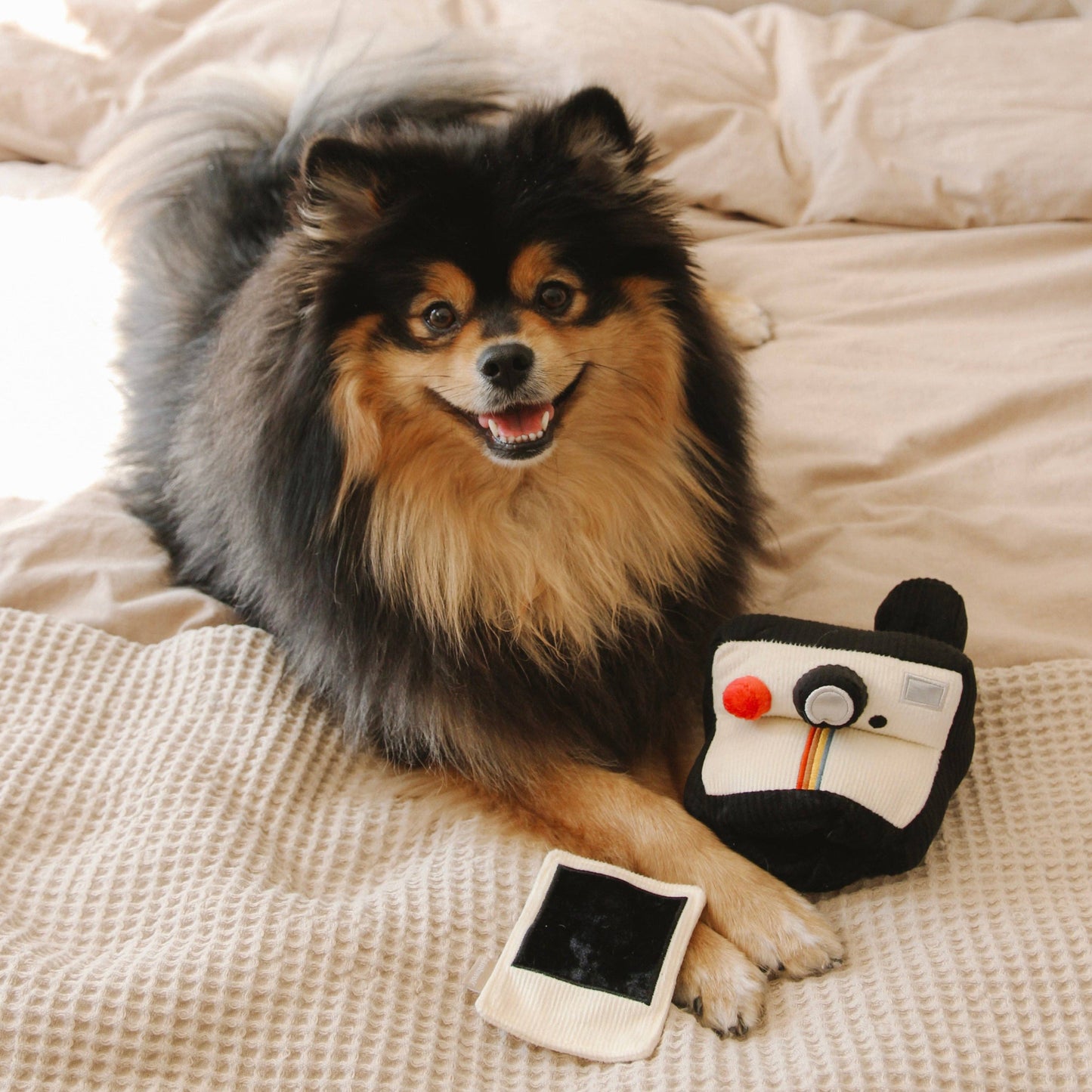 PELUCHE DE FOUILLE POUR CHIEN APPAREIL PHOTO INSTANTANÉ - Lambwolf