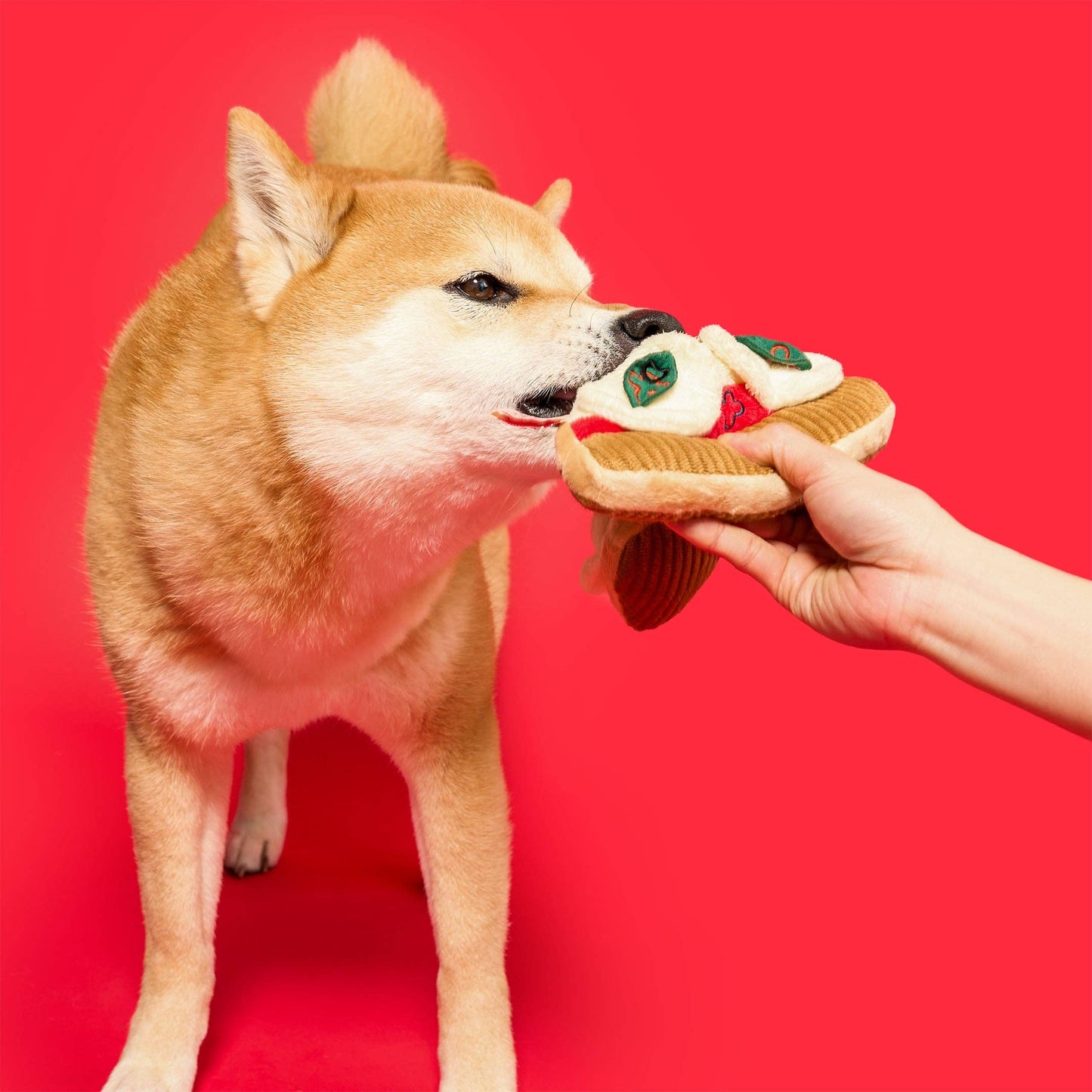 Jouet de fouille pour chien Pizza - The FurryFolks
