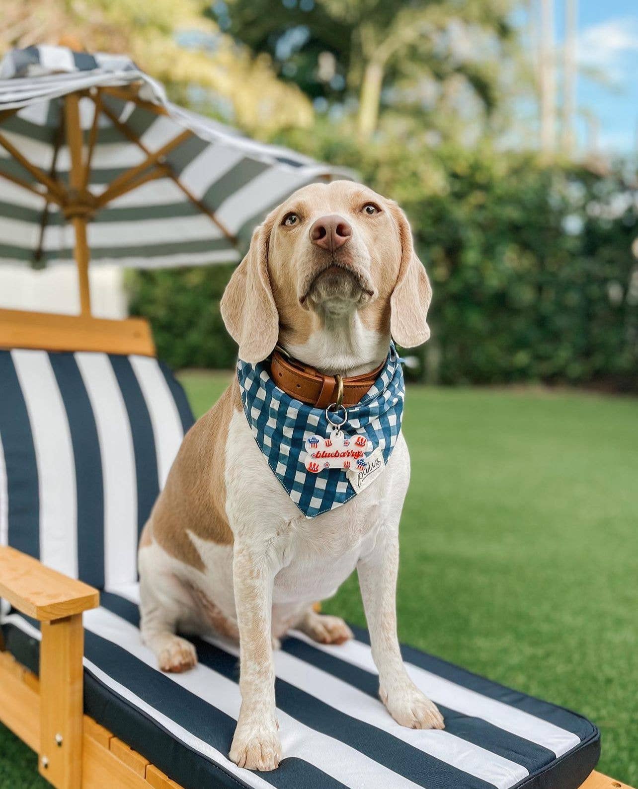 Bandana pour chien classique à carreaux bleu