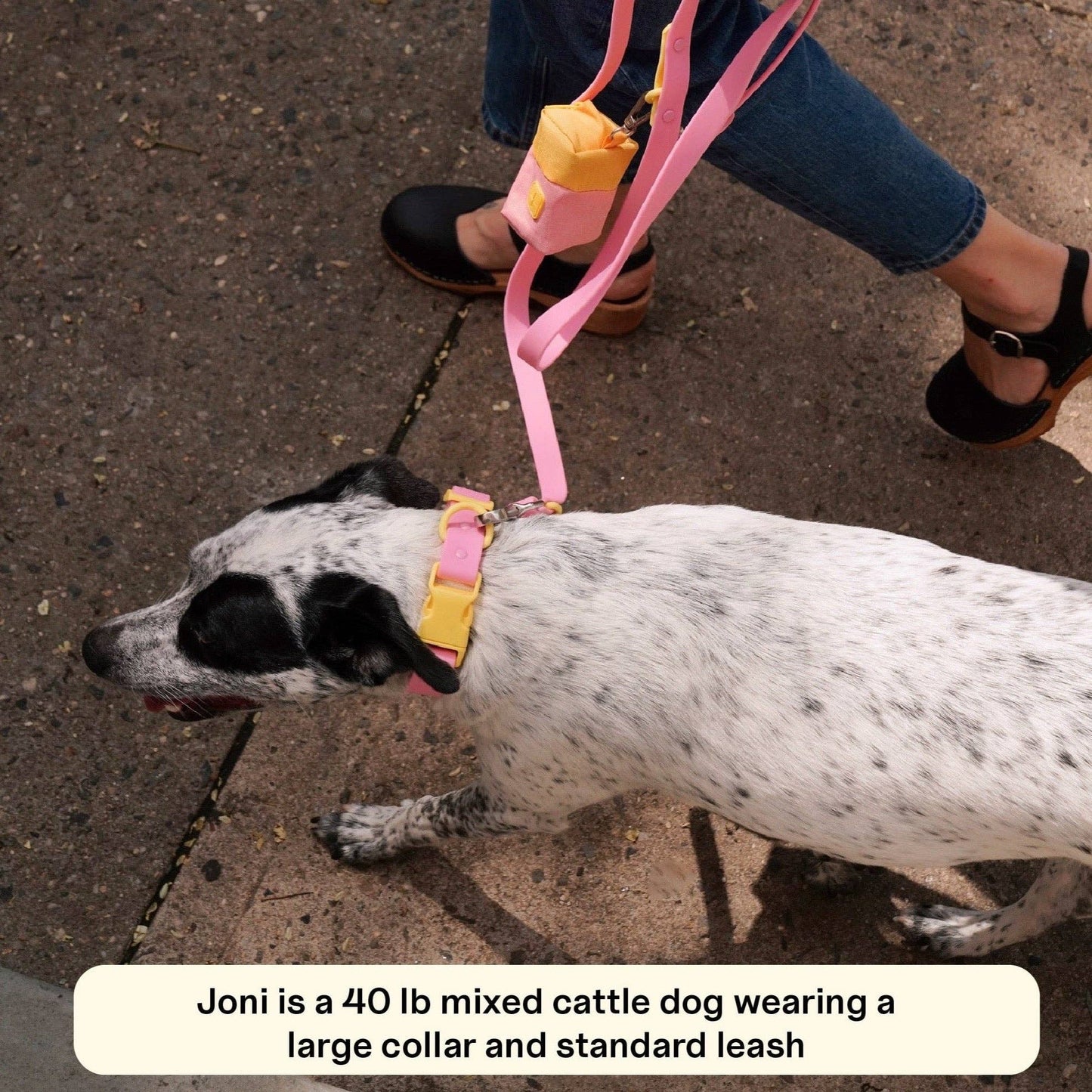 Collier pour chien - Rose & Jaune - Approved by Fritz