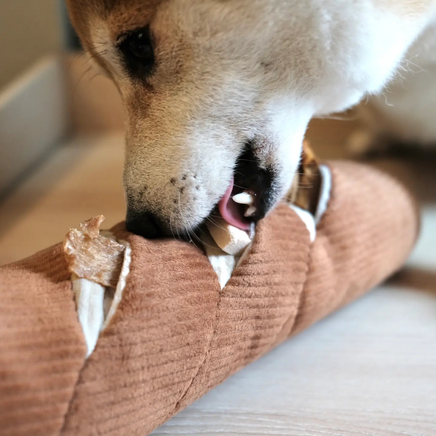 Peluche de fouille pour chien | Baguette de pain - Lambwolf 🥖