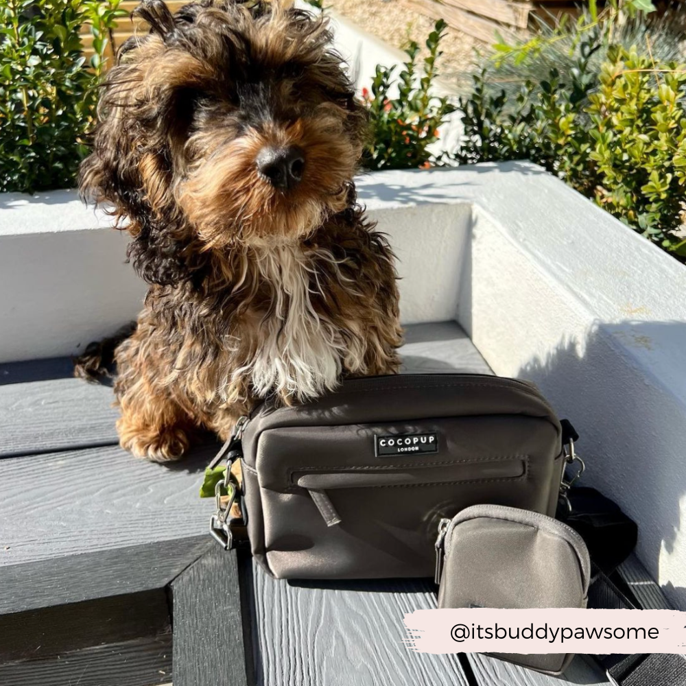Sac de promenade pour chien - Moka - CocoPup