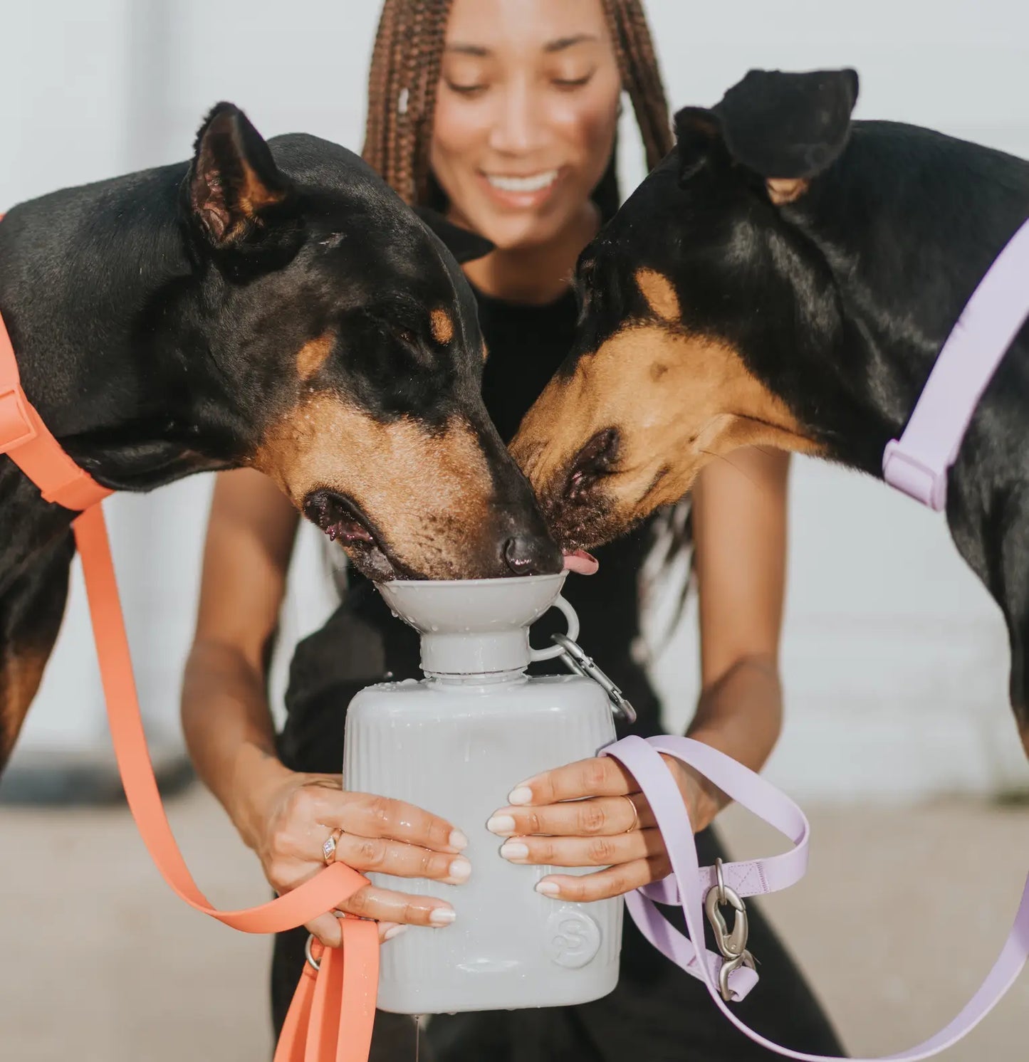 Gourdes de voyage pour chien 44oz