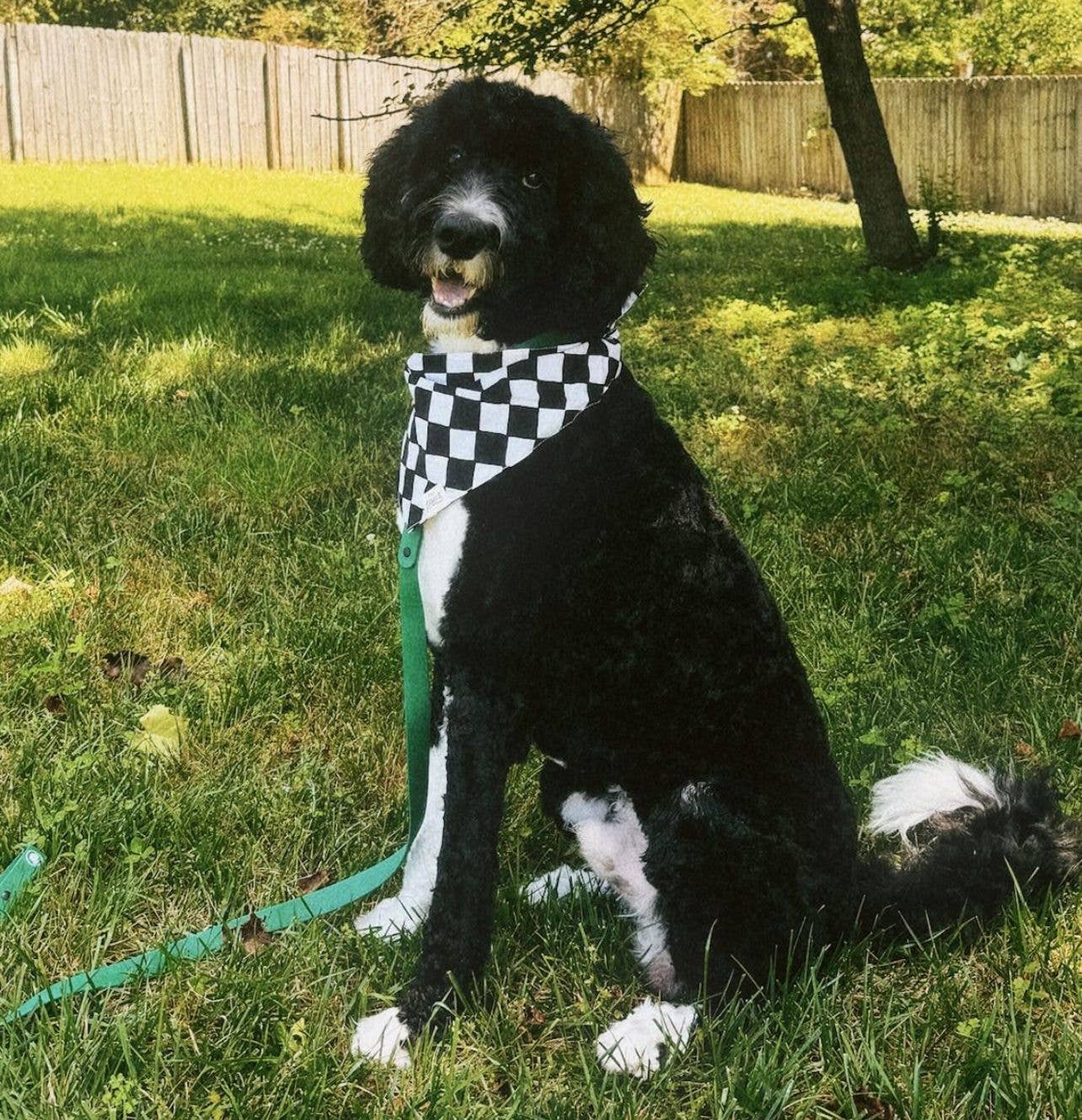 Bandana pour chien Damier noir & blanc