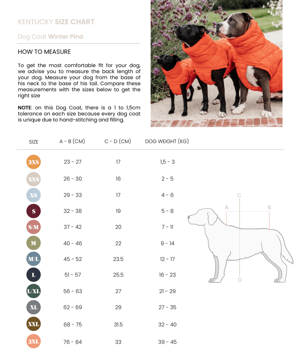 manteau doudoune pour chien - kaki - kentucky