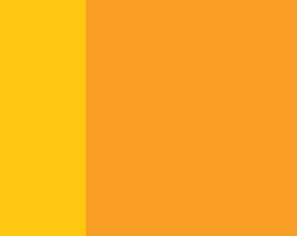 Le collier pour chien Fritz - Mangue orange