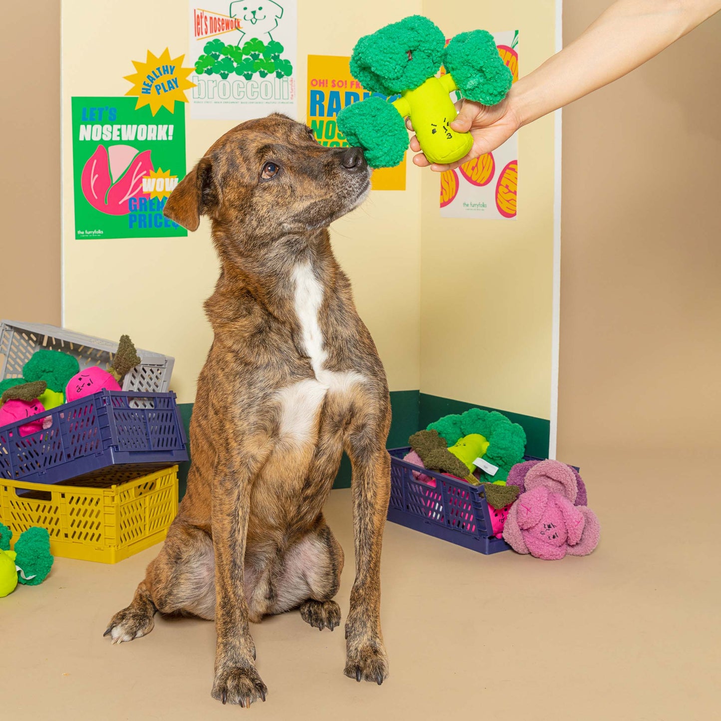 Jouet de fouille pour chien - Brocoli - The Furryfolks