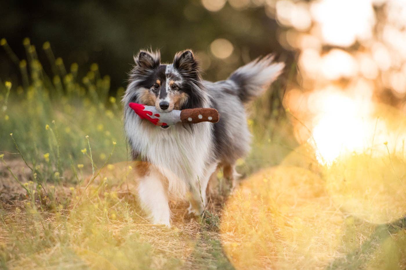 Jouet pour chien en forme de couteau d'halloween