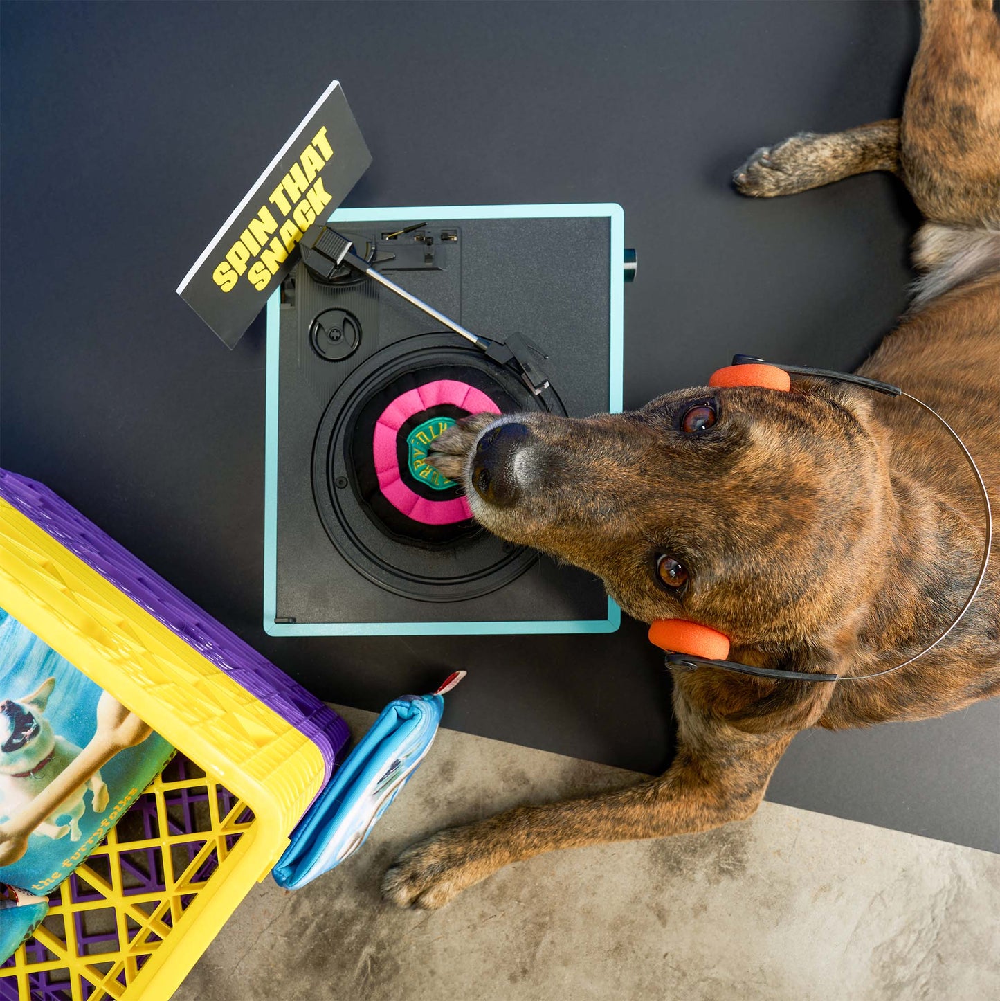 Jouet de fouille en vinyle -The furryFolks