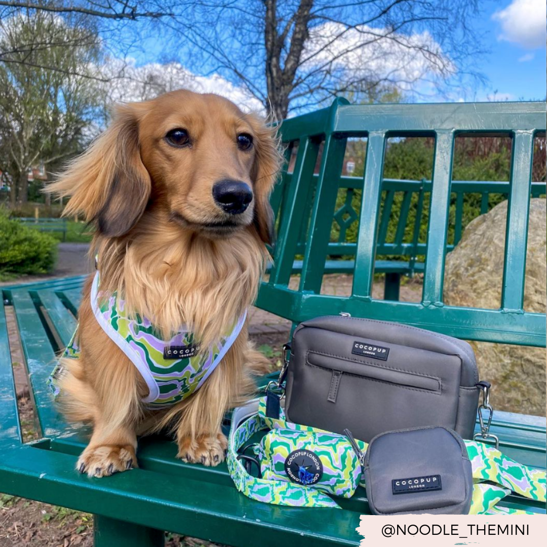 Sac de promenade pour chien - Moka - CocoPup