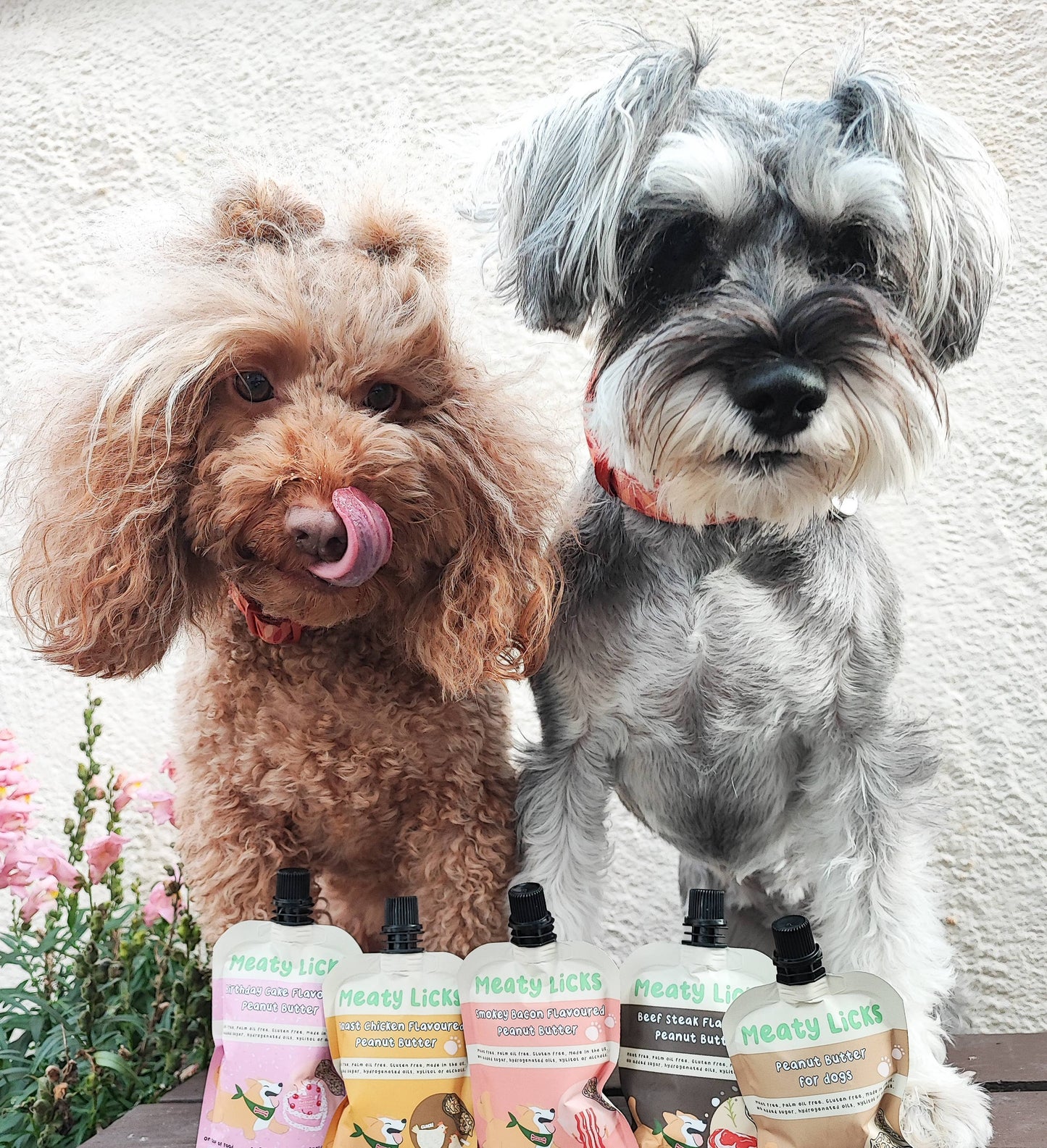 Friandises Tube de beurre de cacahuète pour chiens
