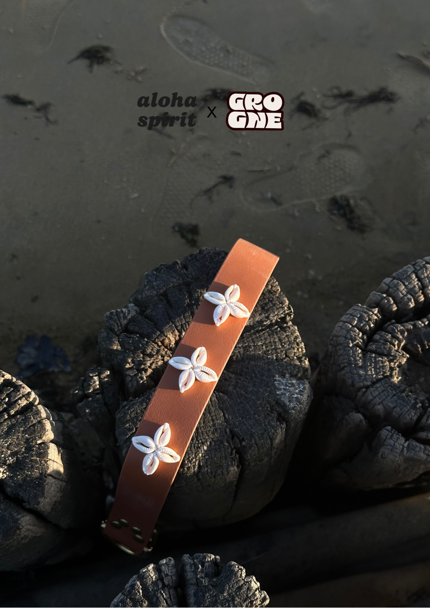 COLLIER POUR CHIEN GABONNAIS - GROGNE X ALOHA - Precommande jusqu'au 31/03