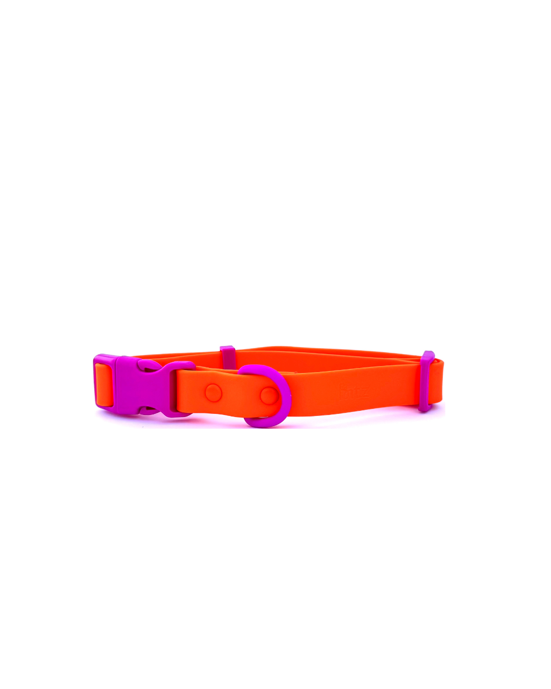 Le Collier pour Chien - Violet & Orange - Approved by Fritz
