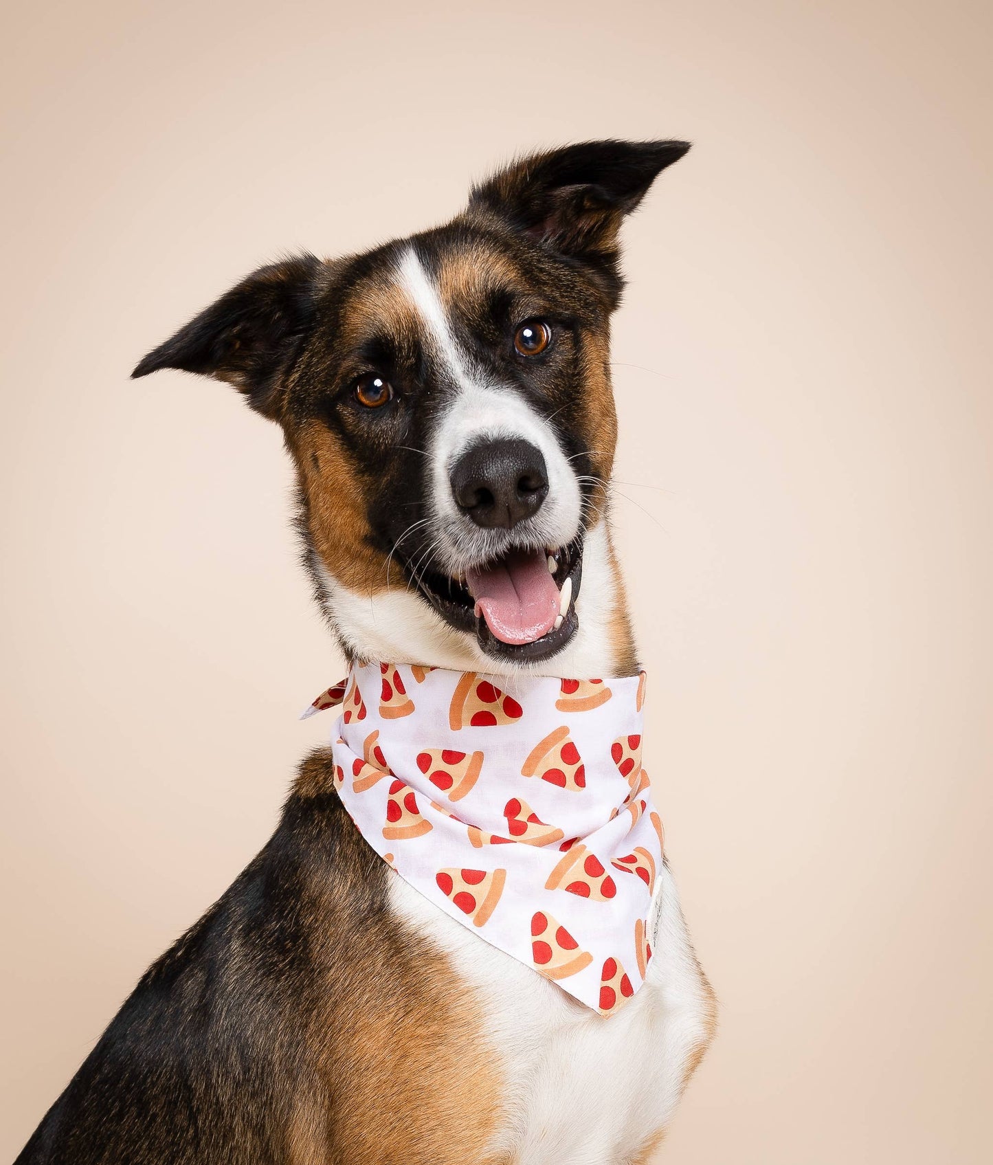 Bandana Pizza pour chien