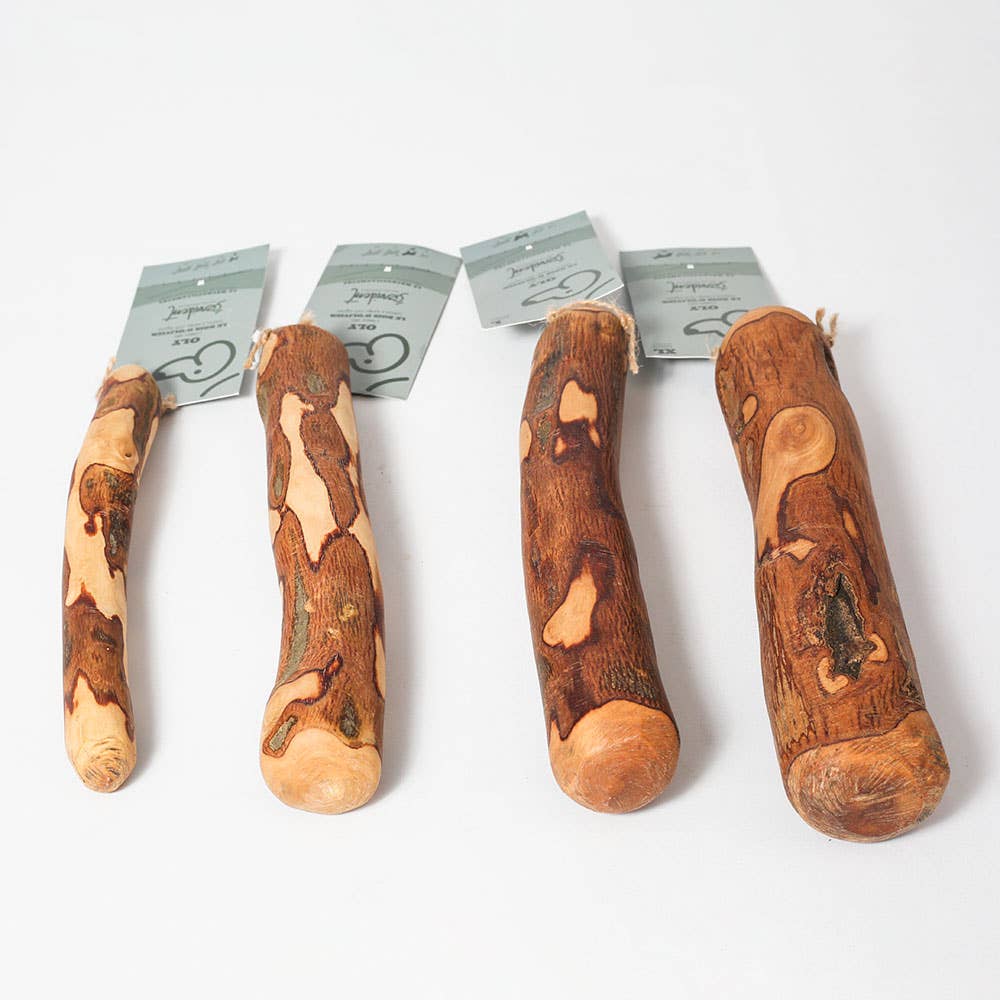 Bâton en bois d'olivier à mâcher pour chien - Evident