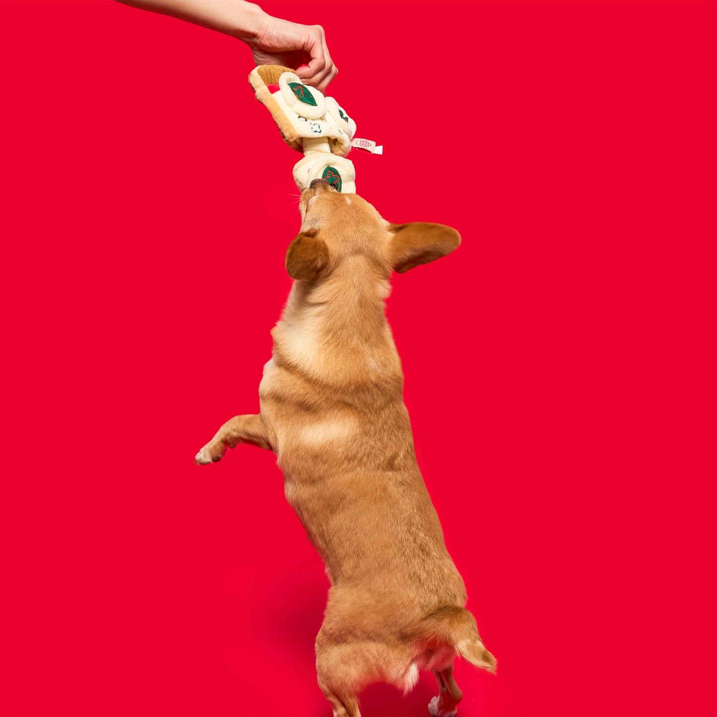 Jouet de fouille pour chien Pizza - The FurryFolks