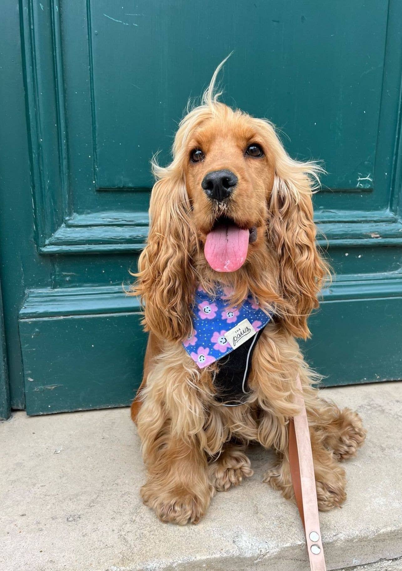 Bandana pour chien FLEURIE VIOLET