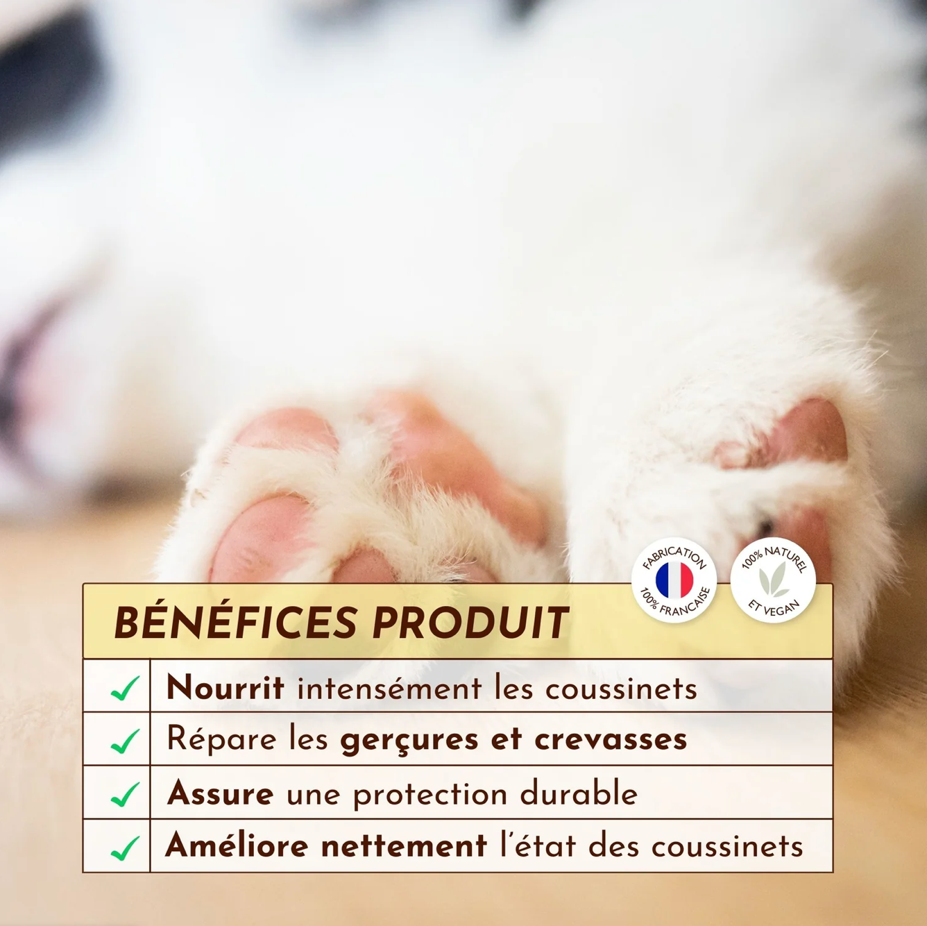 STICK DOUX COUSSINET 🐾