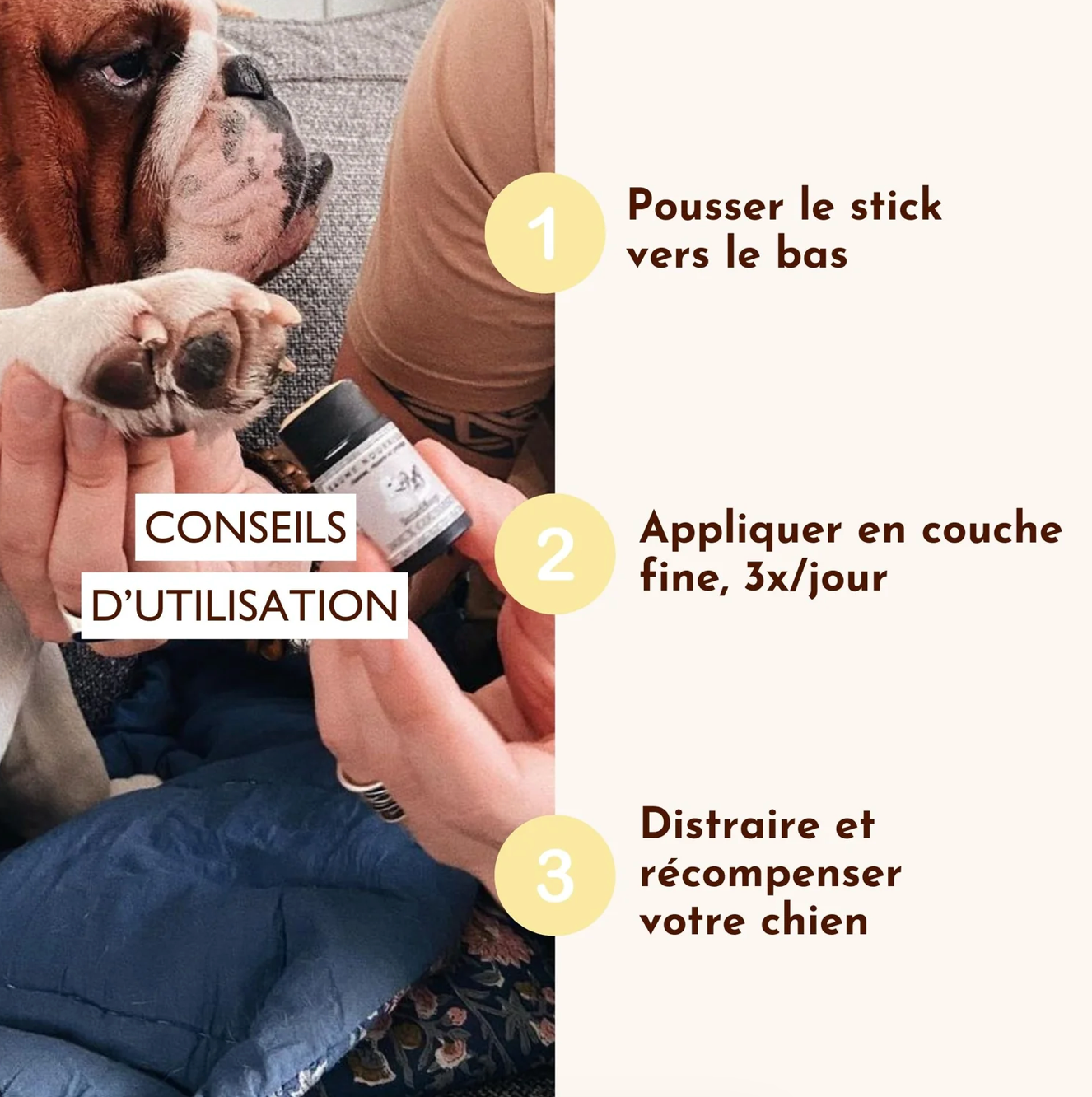 STICK DOUX COUSSINET 🐾