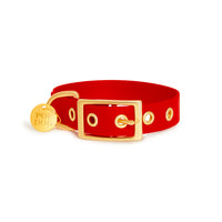 Collier en biothane - Rouge Popdog