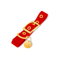 Collier en biothane - Rouge Popdog