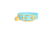 Collier en biothane - bLEU Popdog