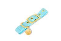 Collier en biothane - bLEU Popdog