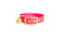 Collier en biothane - rOSE Popdog