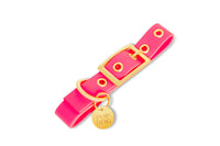 Collier en biothane - rOSE Popdog