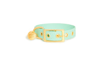 Collier en biothane - vERT Popdog