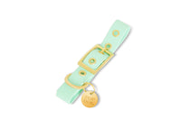 Collier en biothane - vERT Popdog