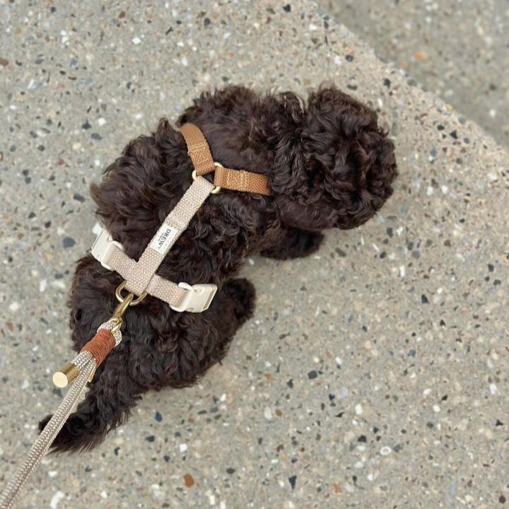 Harnais pour chien Cortado - Brun & beige - Drew's dogwear