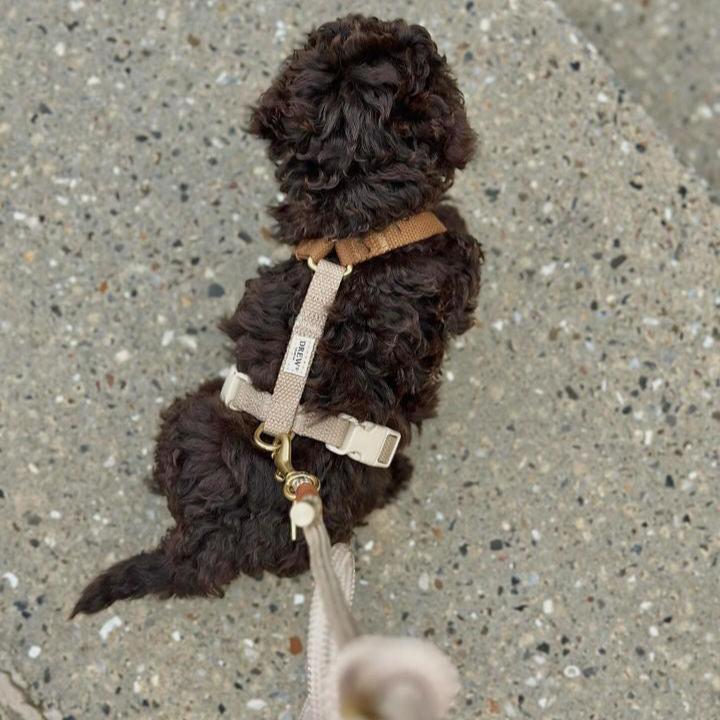 Harnais pour chien Cortado - Brun & beige - Drew's dogwear