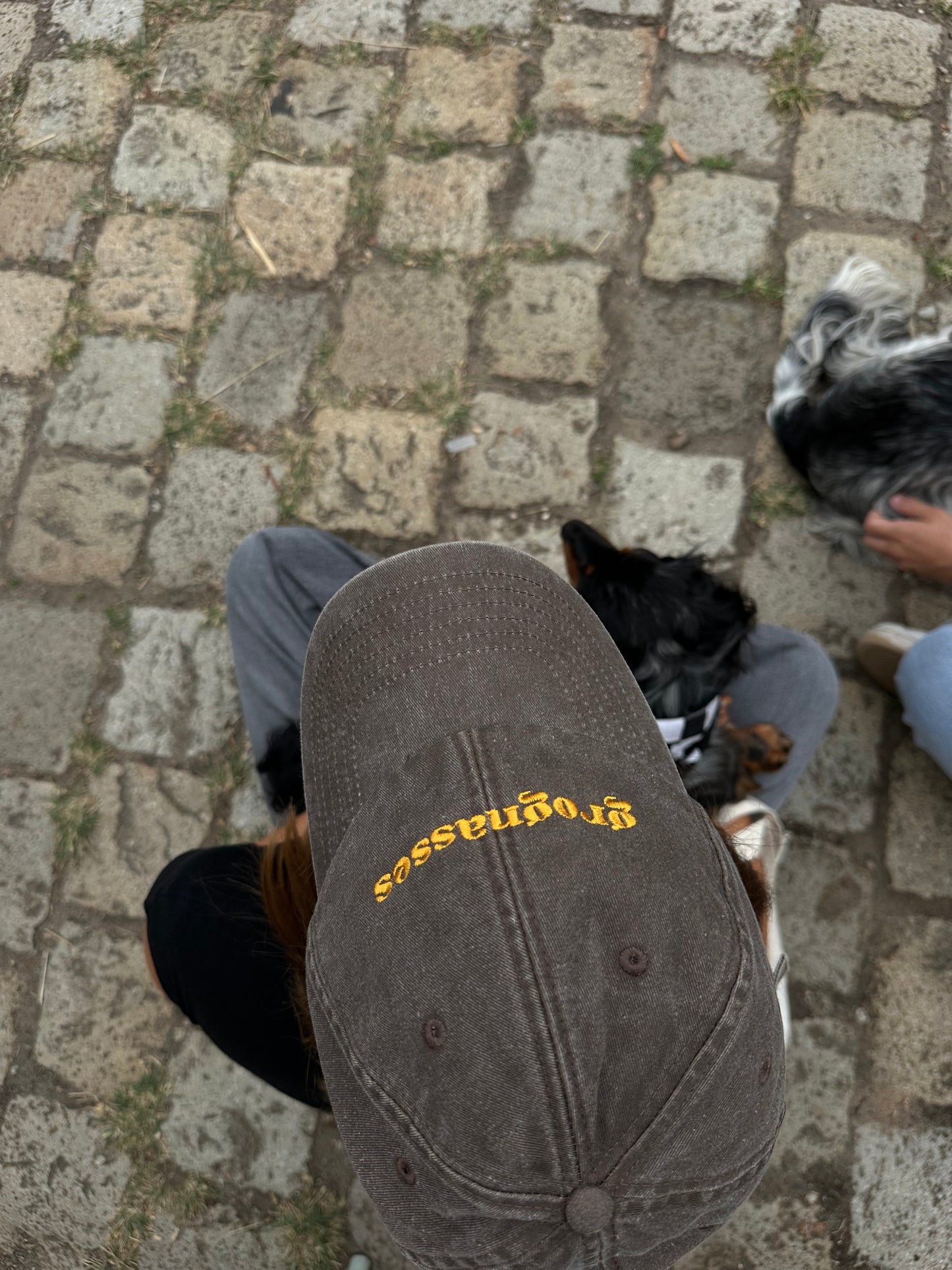 CASQUETTE Grognasses - Grogne Store