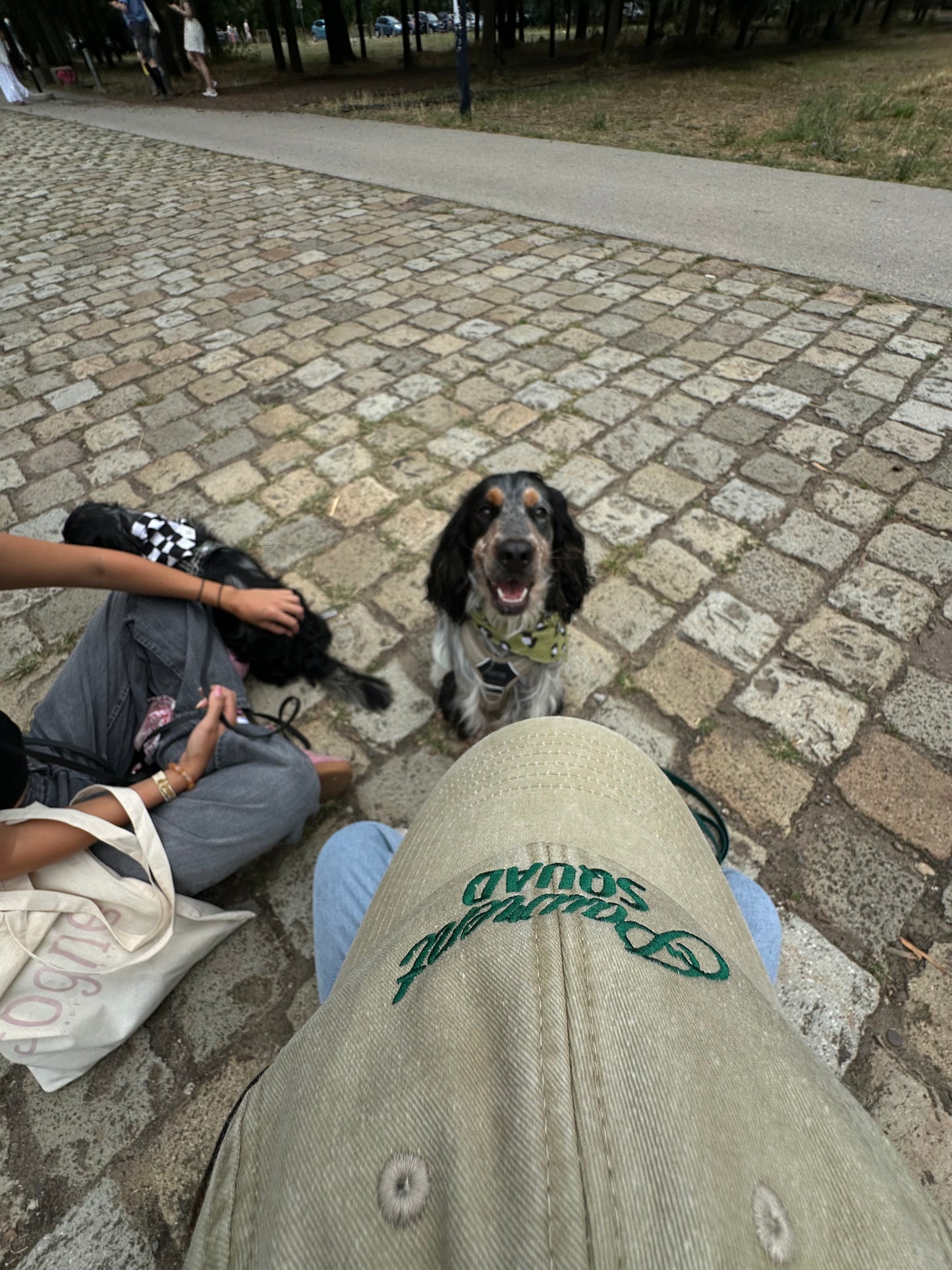CASQUETTE Pawrent Squad - Grogne Store