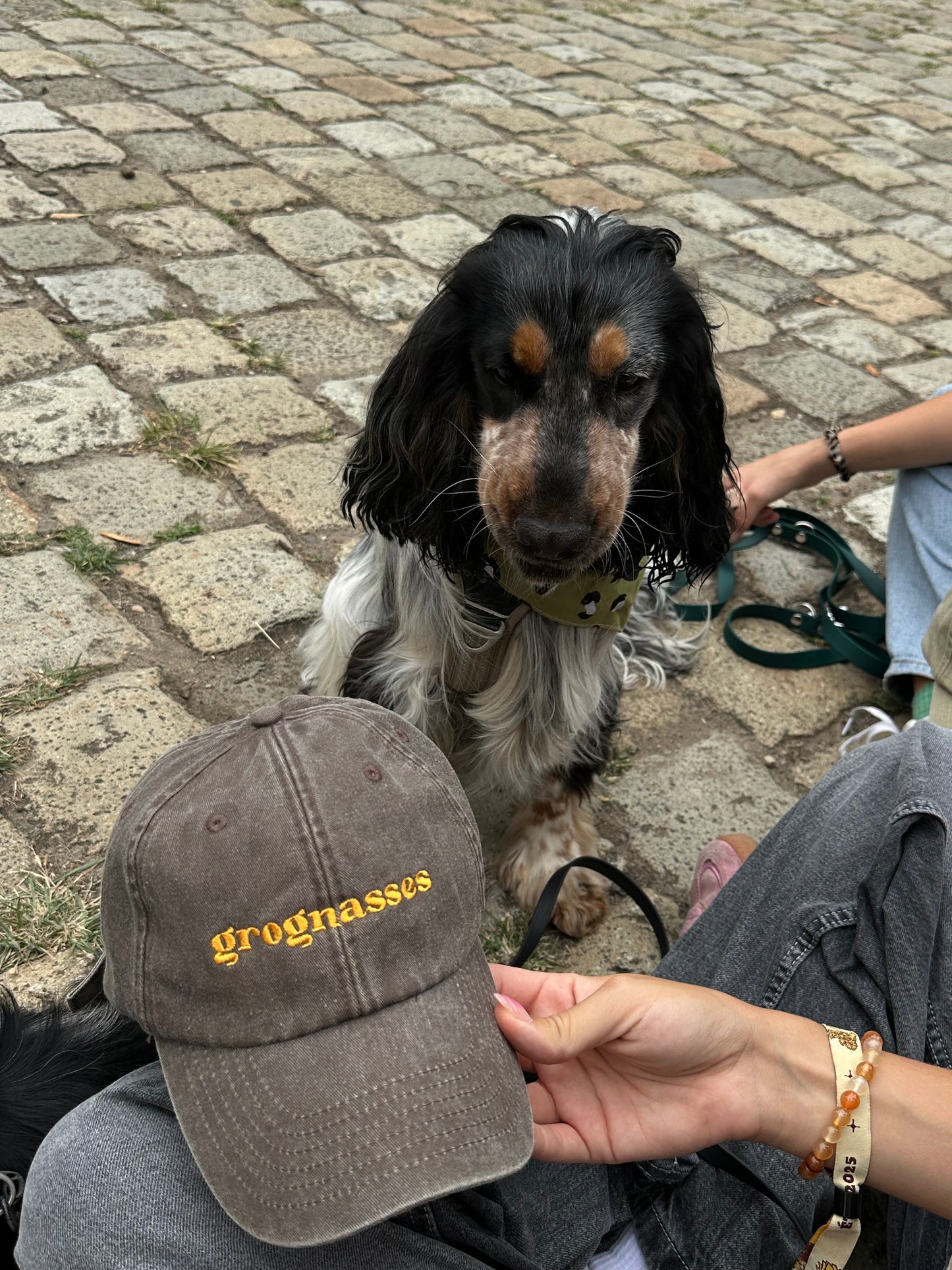 CASQUETTE Grognasses - Grogne Store