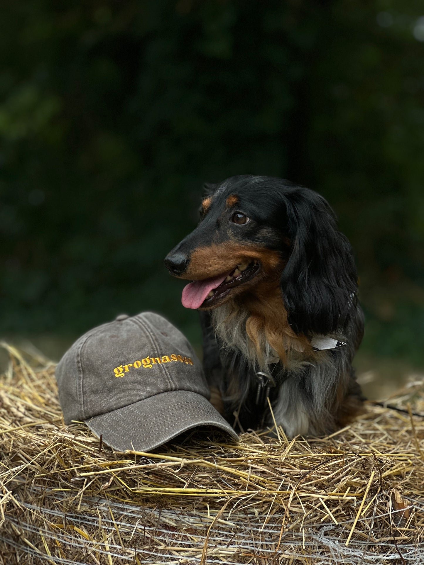 CASQUETTE Grognasses - Grogne Store
