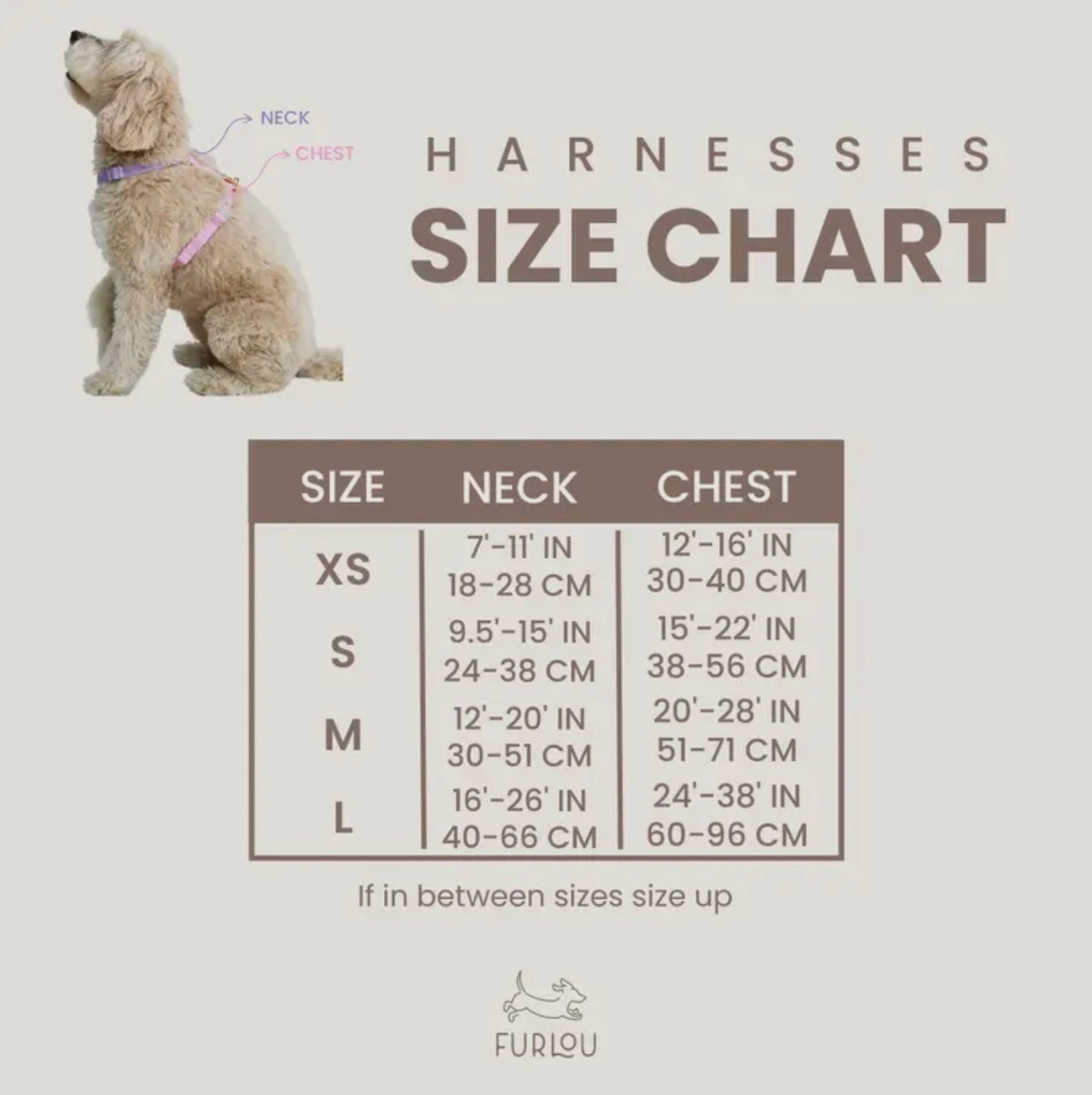 Harnais pour chien Sherpa - Violet - Furlou