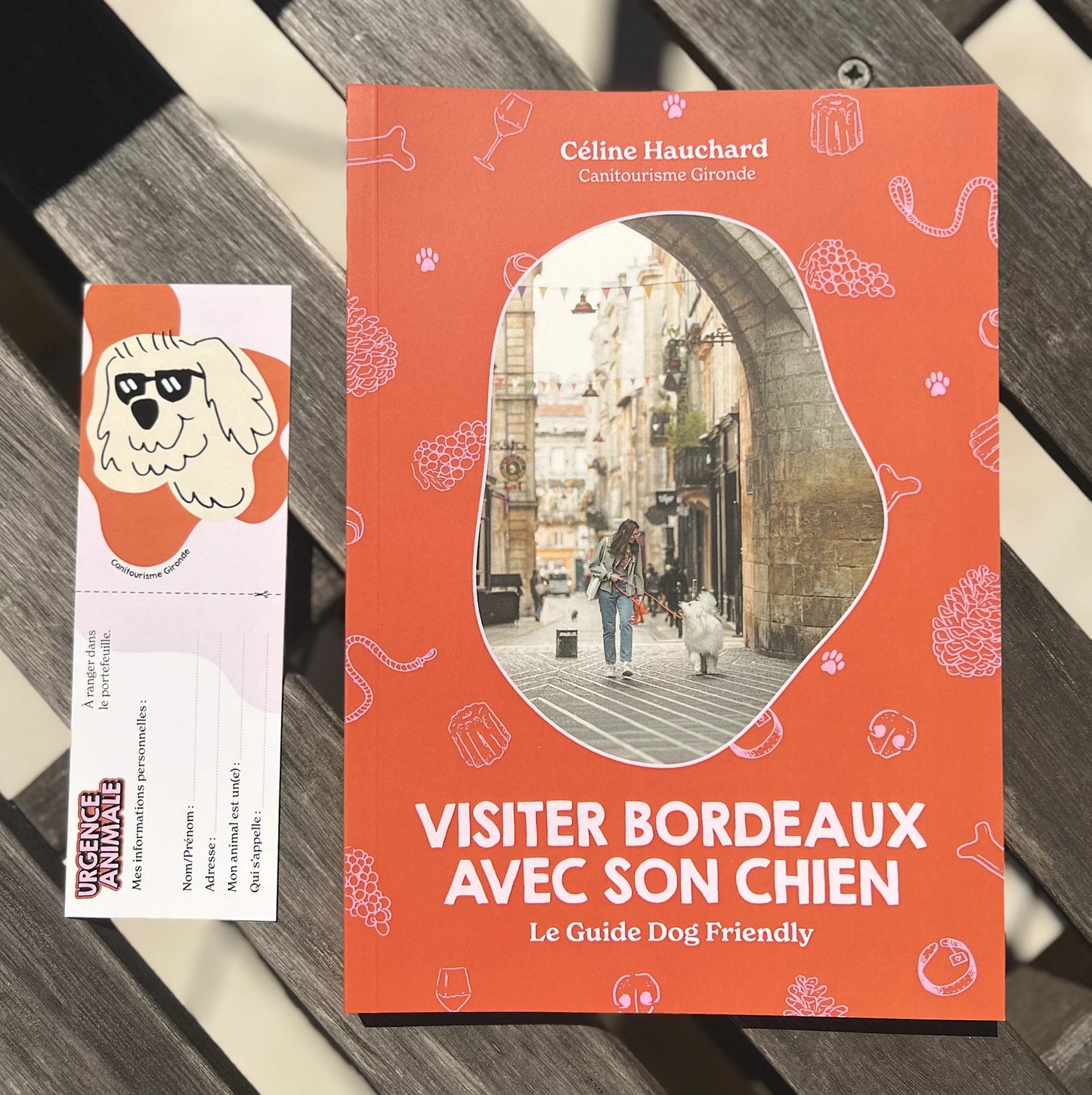 Guide – Visiter Bordeaux avec son chien - Canitourisme Gironde