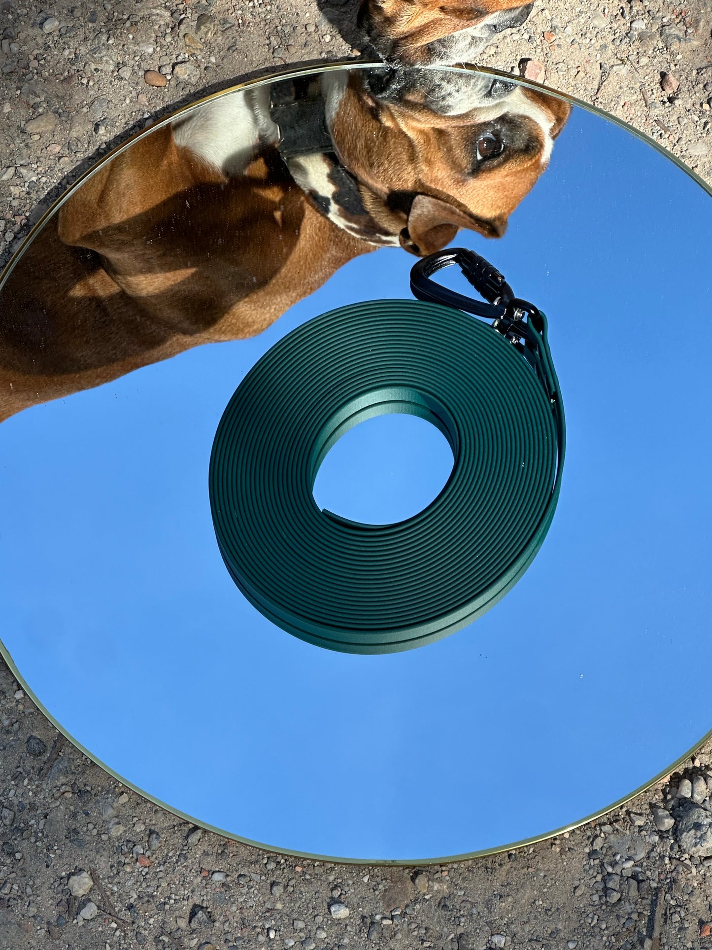 LONGE EN BIOTHANE EN 16MM