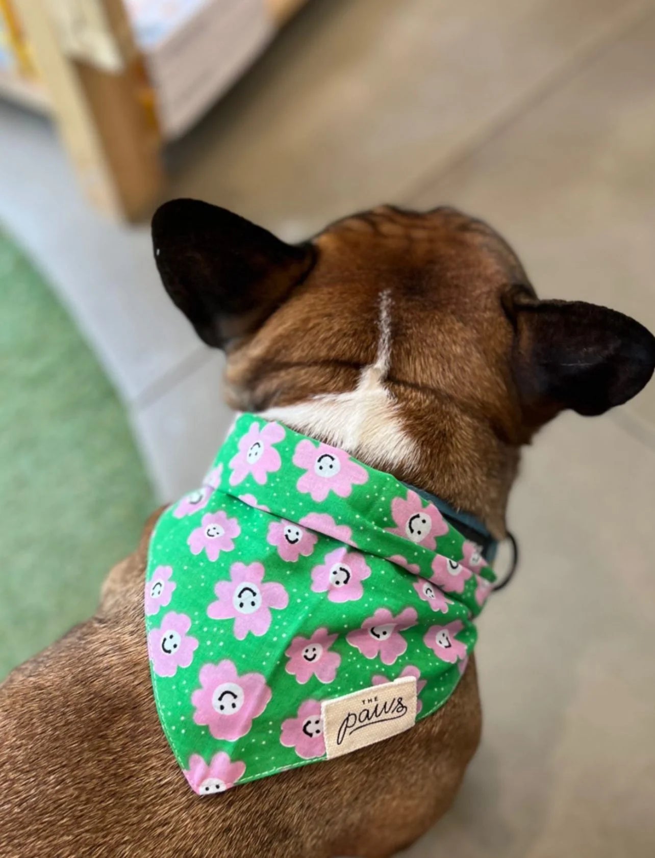 Bandana ZIGGY