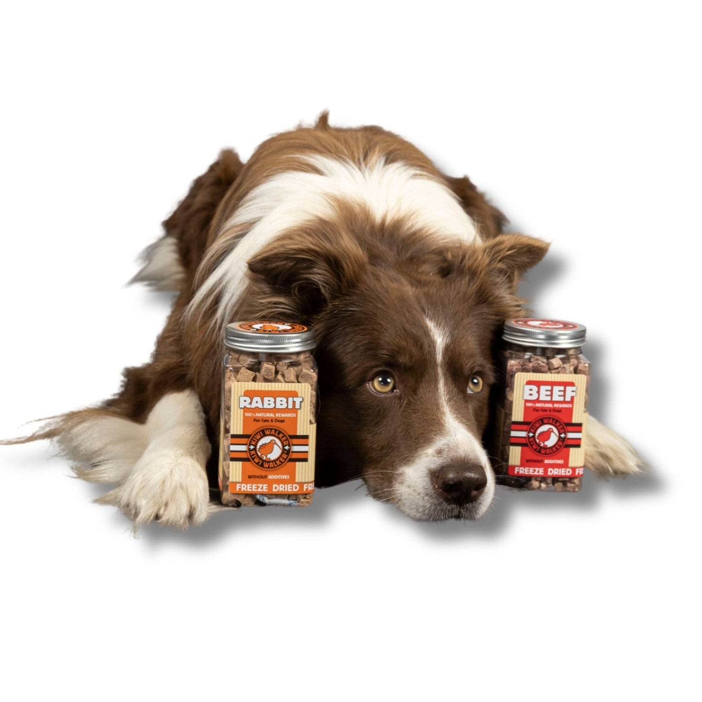Friandises naturelles pour chien - 115g - Canard - Kiwi Walker