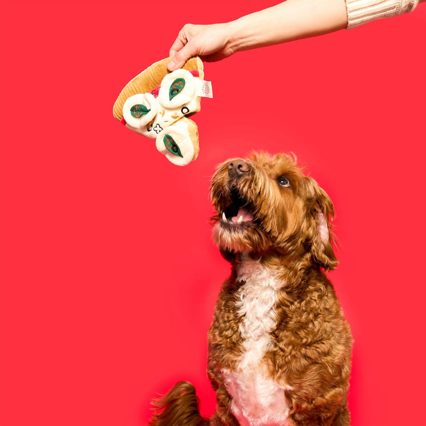 Jouet de fouille pour chien Pizza - The FurryFolks