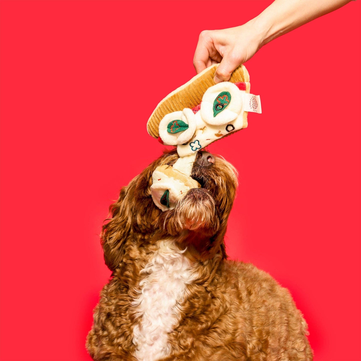 Jouet de fouille pour chien Pizza - The FurryFolks