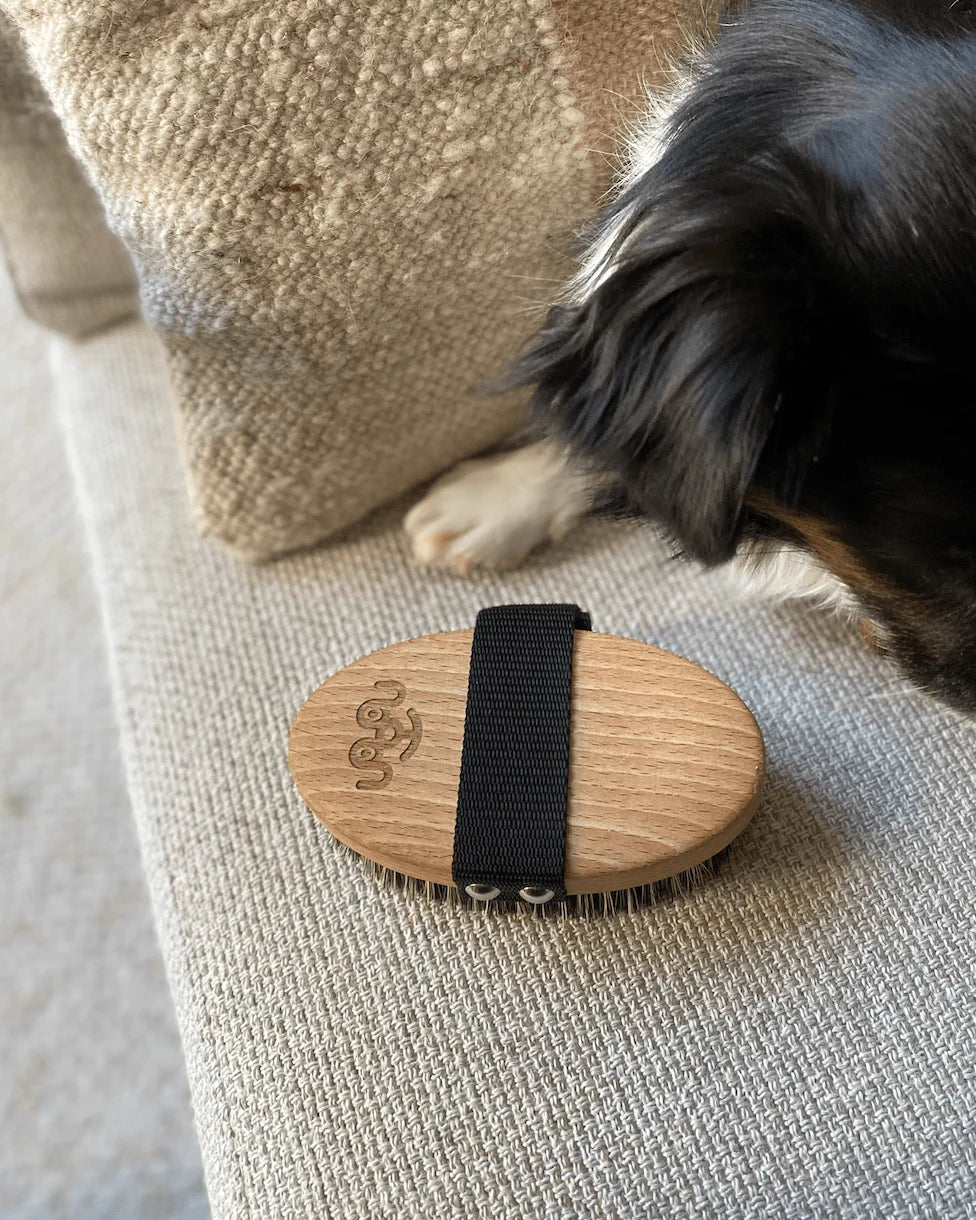 BROSSE pour chien - Toutou PetCare