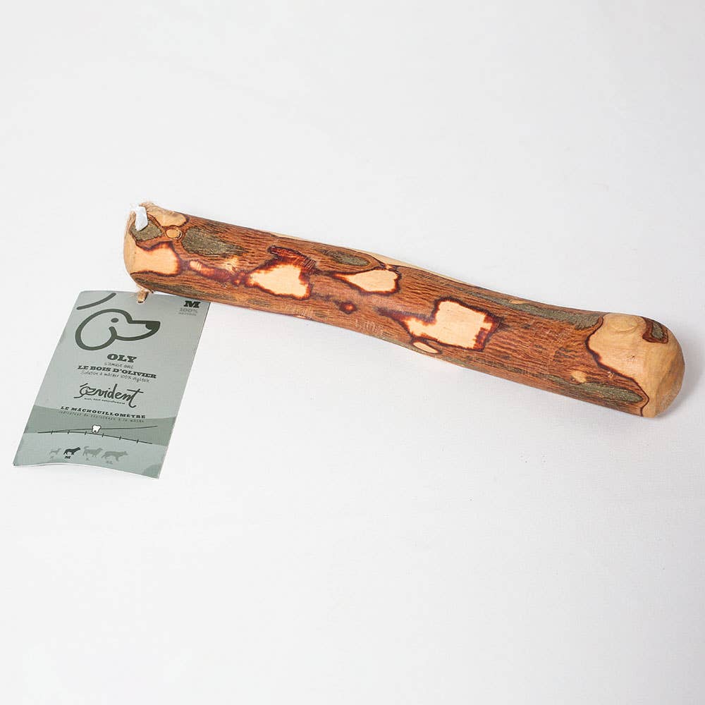 Bâton en bois d'olivier à mâcher pour chien - Evident