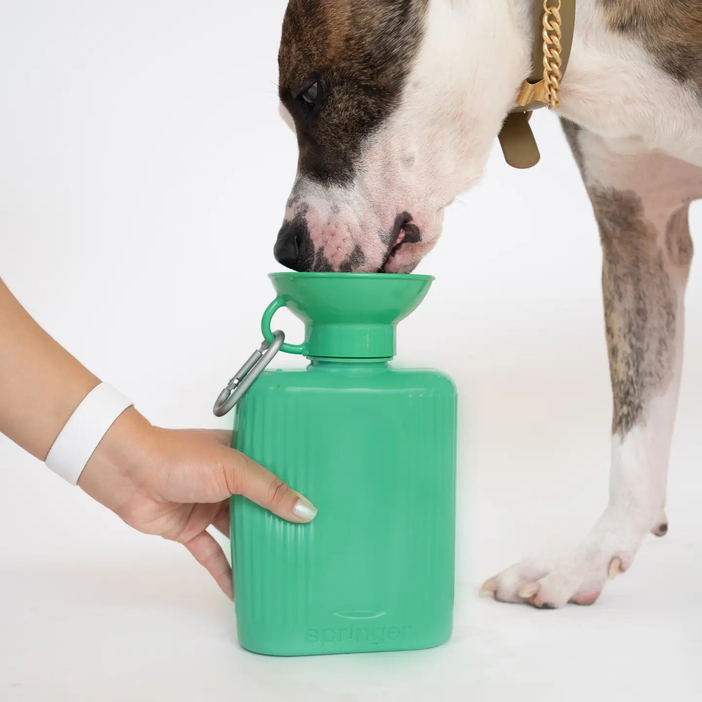 Gourdes de voyage pour chien 44oz