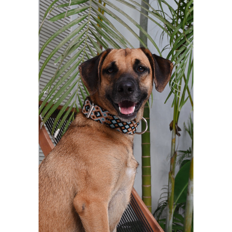 Collier HOLBOX