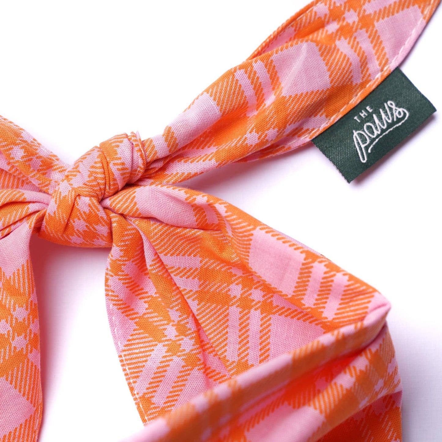Bandana pour chien Stevie - The Paws